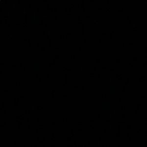 Meet your Posher, Gavin